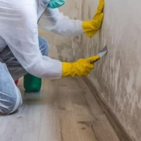 Environmental Hazard Cleaning 2